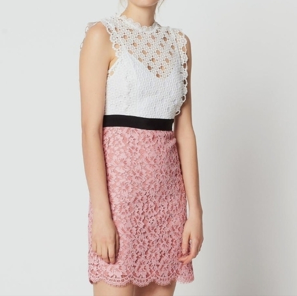 Sandro Paris Dresses & Skirts - Sandro Gab Embroidered Floral Lace Two-Tone Open-Back Mini Dress – Size 38 #N4
